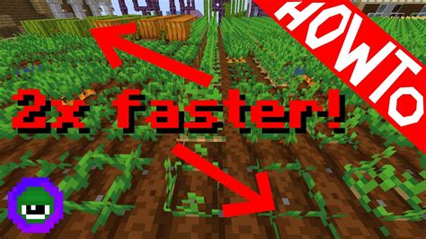 how to grow food in minecraft