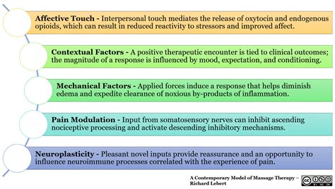 A Contemporary Approach To Massage Therapy — Richard Lebert Registered