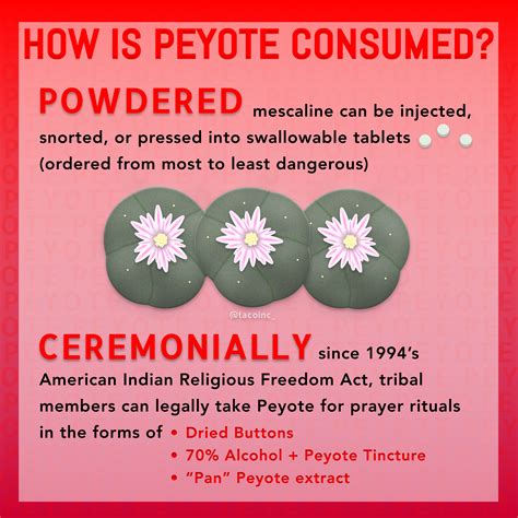 5 Ways To Locate This Prized Cactus In The Desert