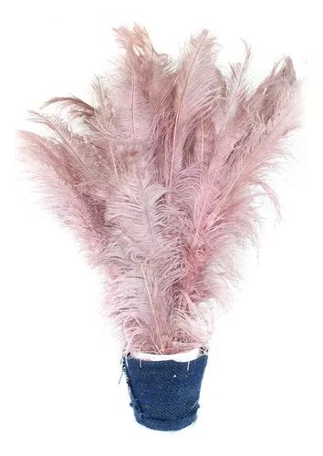 Plumas Artificiales Tipo Avestruz Artificial De Color Nude Plumas E Penas Plumas De Avestruz