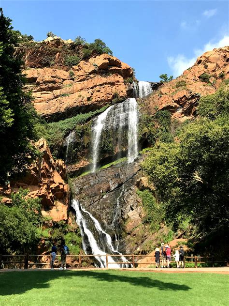 JOHANNESBURG BOTANICAL GARDEN (2026) All You Should Know BEFORE You Go