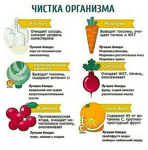 Пин на доске ПОЛЕЗНЫЕ СОВЕТЫ