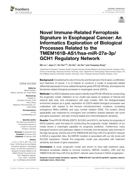 Pdf Novel Immune Related Ferroptosis Signature In Esophageal Cancer