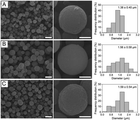 SEM Images And Corresponding Diameter Distributions Of Casein And