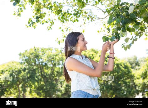 Pretty Brunette Smiling In Park Stock Photo Alamy