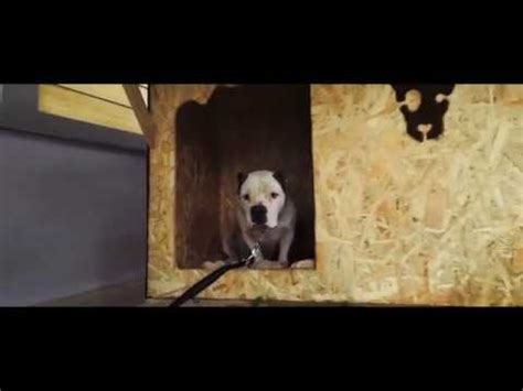 Naked GoPro Beta95x Home Rev 1 YouTube