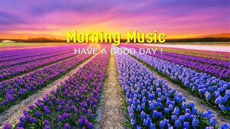 Beautiful Morning Music Happy Wake Up With Positive Energy And Stress