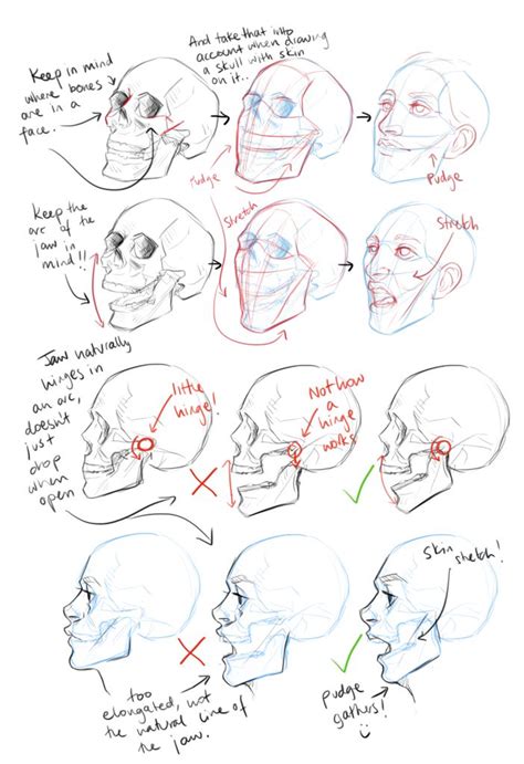 Pin By Caiden On Anatomy Reference In Art Reference Poses