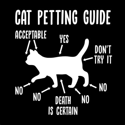 CAT PETTING GUIDE T-SHIRT - GeekyTees