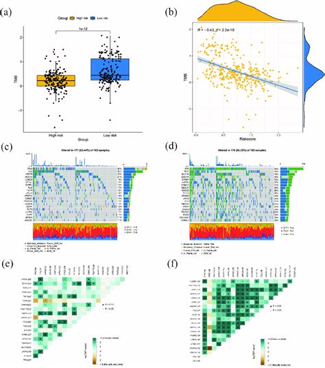 Associations Between Risk Score And Somatic Mutation Profiles In Download Scientific Diagram