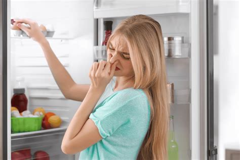 how to get smells out of a refrigerator