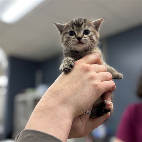 Eagan Pet Clinic | Eagan MN