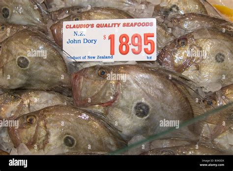 John Dory Fish Stock Photo Alamy