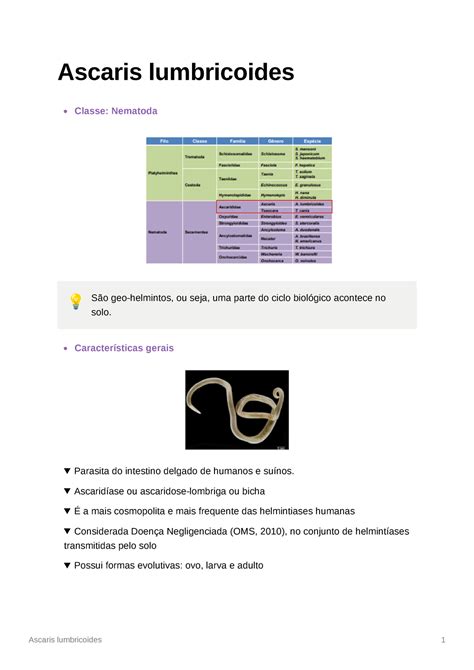 Ascaris lumbricoides Resumo da aula de parasitologia nele há o