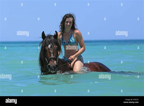 Frau Tr Gt Einen Bikini Barb Reiten Im Meer Reiturlaub Djerba