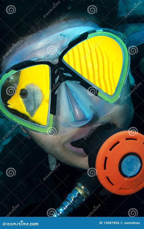 Head Shot Of Scuba Diver Stock Photo Image Of Activity 15087856