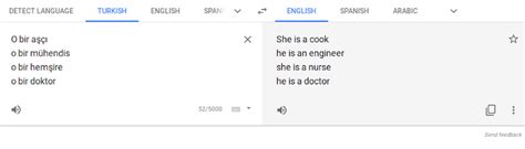 Machine Translation Gendered Innovations