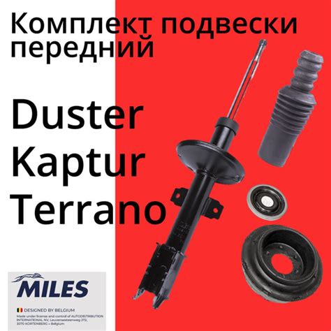 MILES Комплект подвески передний Амортизатор передний стойка 4х4 Рено ...