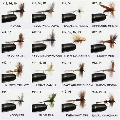 12 Best Fly Fishing Dry Flies 2023 - Reviews & Ratings