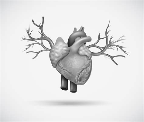 Mitral Valve Clip | Procedure and Recovery | Dr Mayur Jain