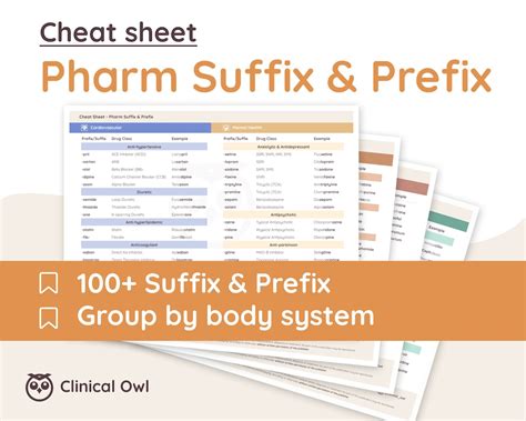 Pharm Suffix And Prefix Cheat Sheet 100 Most Common Etsy