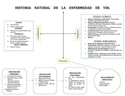 Historia Natural Del Vih Esquemas Y Mapas Conceptuales De The Best