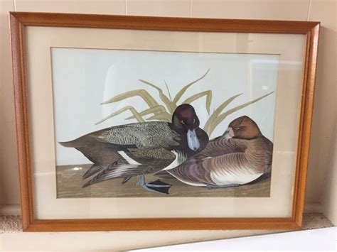 Vintage Pair Of Duck Prints