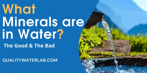 What Minerals Are In Water The Good Bad 2022 QWL