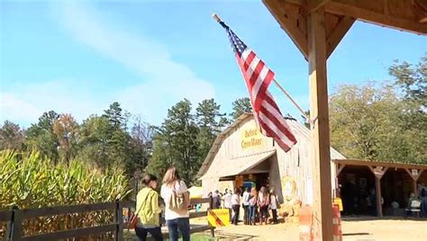 Buford Corn Maze