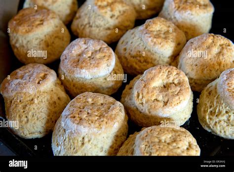 Traditional Cornish Cream Tea With Sconescornish Clotted Creamjam And
