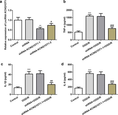 KCNQ1OT1 Knock Down Alleviated Inflammatory Responses In The OGD R A