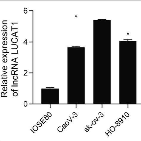 Expression Level Of Lncrna Lucat1 In Ovarian Cancer Cells P Download Scientific Diagram