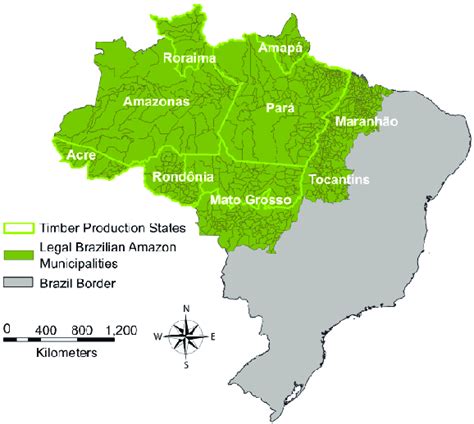amazon region adapted    scientific diagram