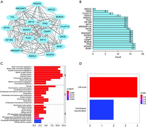 Functional Enrichment Analysis Of The Key Genes A Ppi Networks