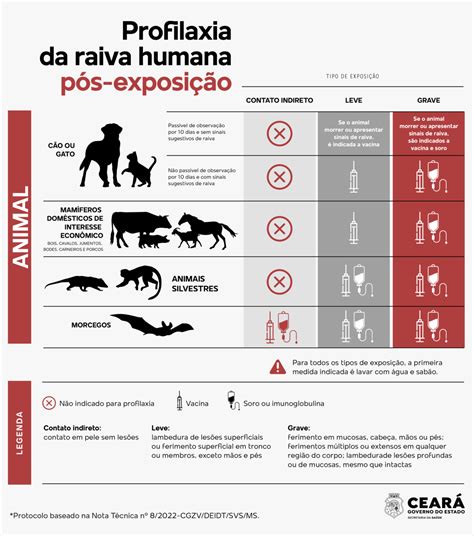 Sesa Orienta Sobre O Que Fazer Em Casos De Agress O Por Animais