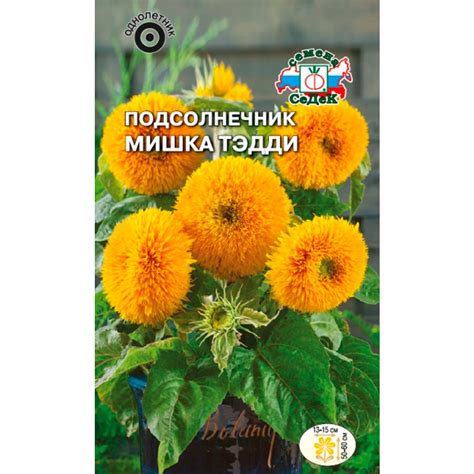 Купить Подсолнечник Мишка Тэдди 1гр недорого по цене 30руб.|Garden-zoo.ru