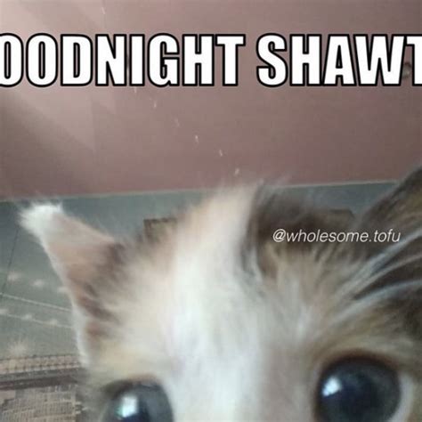 Stream Glitter Hentai Moan By CLWDY Listen Online For Free On SoundCloud