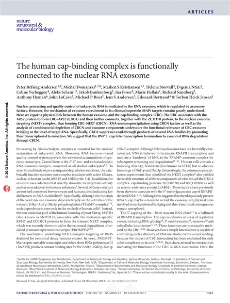 Pdf The Human Cap Binding Complex Is Functionally Connected To The