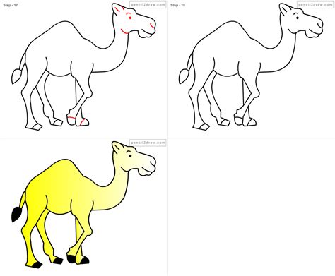 Fpencil How To Draw Cartoon Camel Step By Step