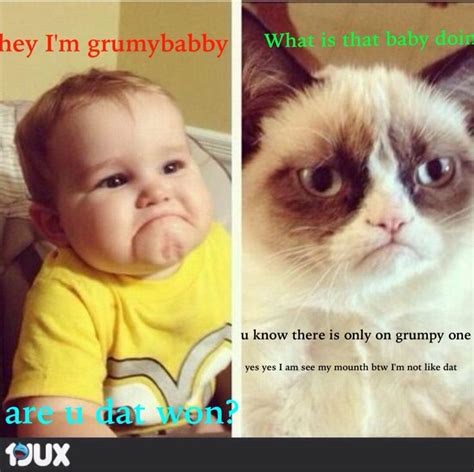 Pin On Grumpy Cat