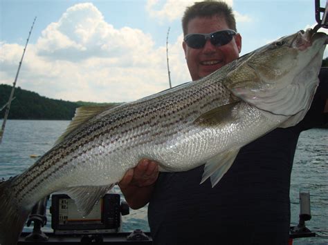 Meet Your Raystown Lake Striper Guide Striper Lore Guide Service