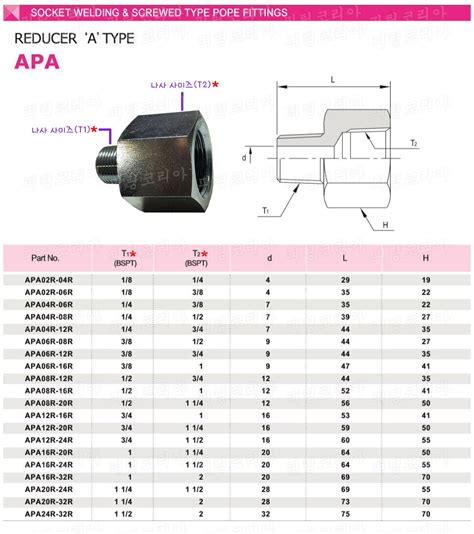 레듀샤 Apa 피팅코리아