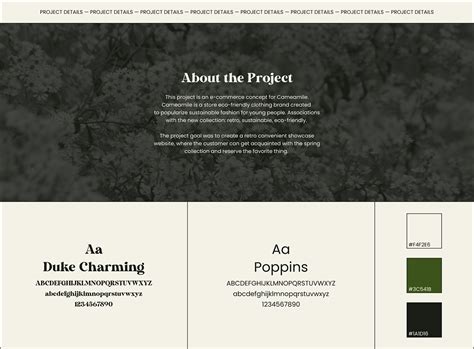 Cameamile │E-commerce Redesign on Behance