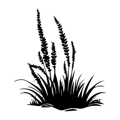 Premium Vector Grass Nature S Silhouette Botanical Vector Illustration