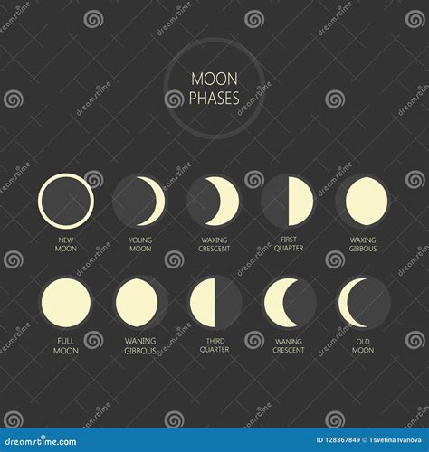 Illustrazione Lunare Di Vettore Di Fasi Moon Il Ciclo Di Fase La Nuova