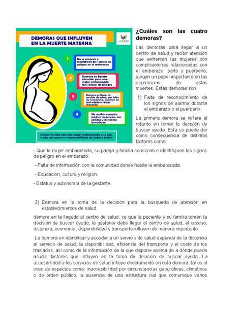 Identificación y Análisis de las Cuatro Demoras en Embarazos