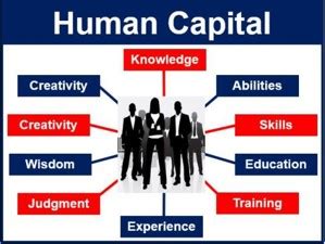 Human Capital Cio Wiki