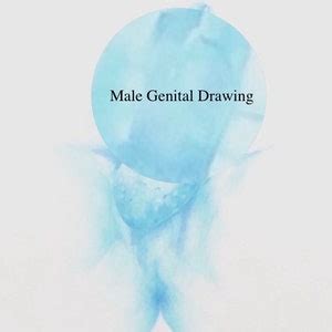 Original Fitness Male Model Genital Blue Pencil On Mylar Drawing 9x12 For Gay And Male Nude