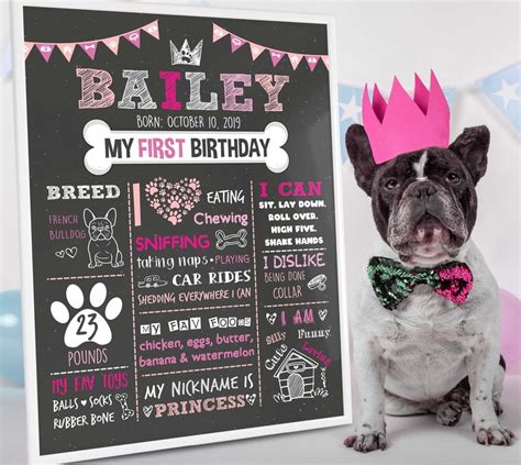 Dog First Birthday Sign Puppy Birthday Poster Dog Party Etsy