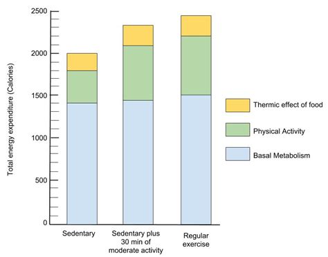 3.2.1. Physical Fitness and Energy – Fundamentals of Health and ...